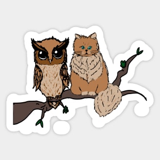 Cat & Owl sitting in a tree Sticker